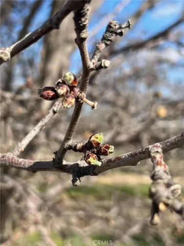 $772,400 | 1 33rd, San Francisco, CA 94116