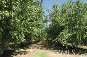 $772,400 | 1 33rd, San Francisco, CA 94116