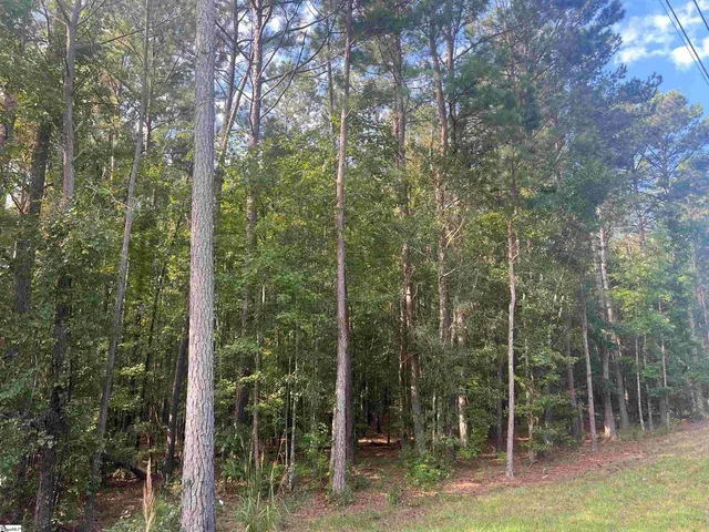 $199,000 | Lot 6 Gin Mill Road, Honea Path, SC 29654
