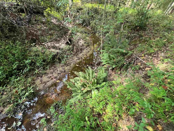 $199,000 | Lot 6 Gin Mill Road, Honea Path, SC 29654