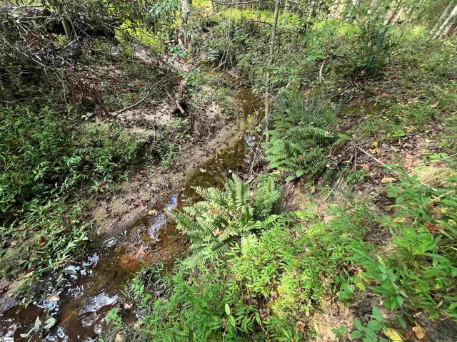 $199,000 | Lot 6 Gin Mill Road, Honea Path, SC 29654