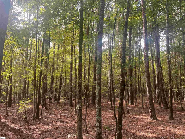 $199,000 | Lot 6 Gin Mill Road, Honea Path, SC 29654