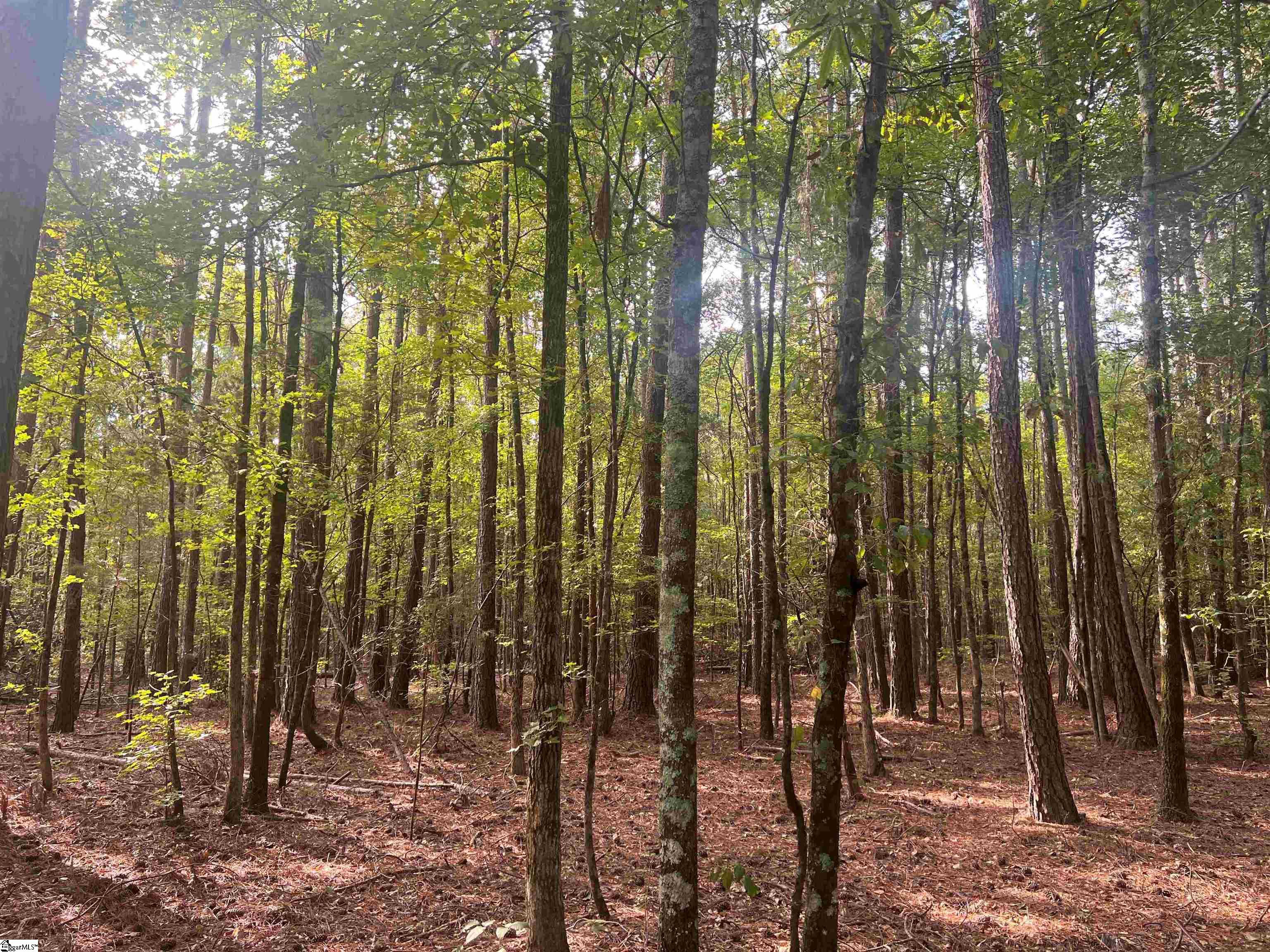 Lot 6 Gin Mill Road Honea Path, SC 29654 - Photo 6 of 7