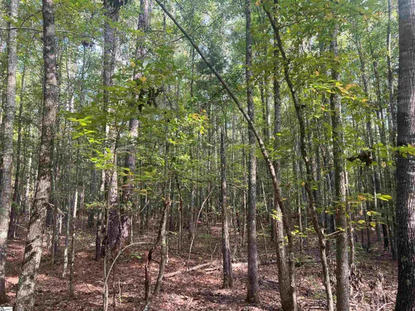 $199,000 | Lot 6 Gin Mill Road, Honea Path, SC 29654