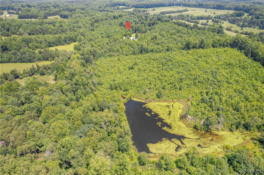858 Chapel Road New Canton, VA 23123 - Photo 42 of 48 a view of a yard with plants