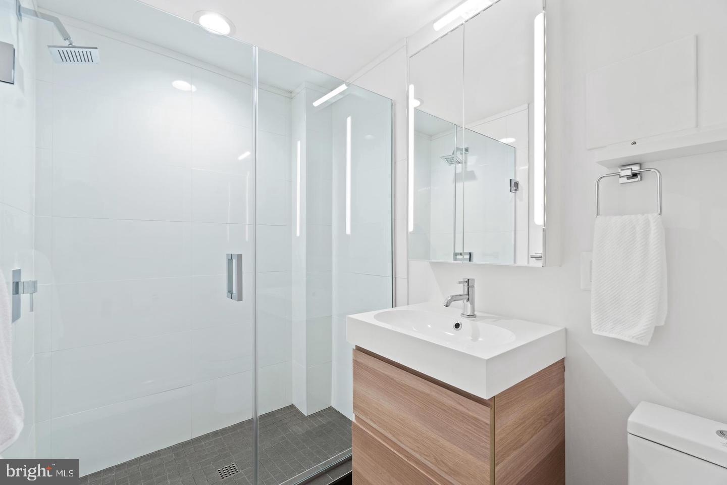 3417 R Street Northwest Washington, DC 20007 - Photo 23 of 29 Downstairs full bath