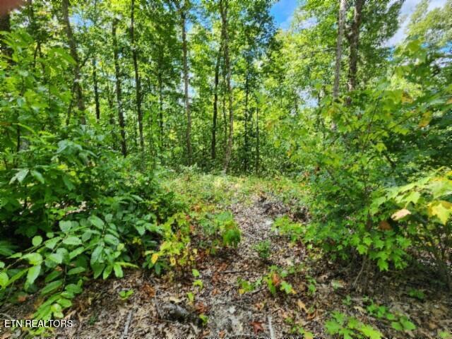 Lot 73 Tomahawk Road Jamestown, TN 38556 - Photo 11 of 33 20250826_110212