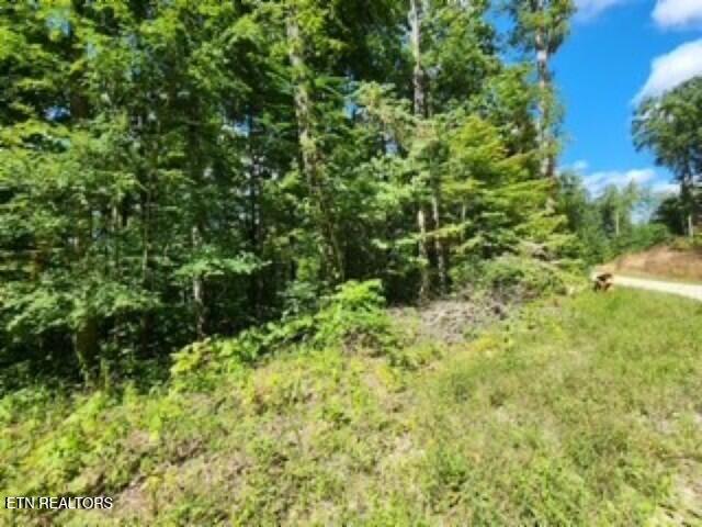 Lot 73 Tomahawk Road Jamestown, TN 38556 - Photo 14 of 33 Photo 2