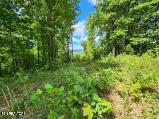 Lot 73 Tomahawk Road Jamestown, TN 38556 - Photo 18 of 33 photo 7