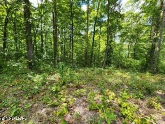 Lot 73 Tomahawk Road Jamestown, TN 38556 - Photo 20 of 33 Photo 9