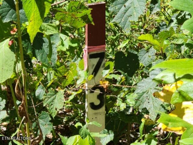 Lot 73 Tomahawk Road Jamestown, TN 38556 - Photo 2 of 33 20250826_105502