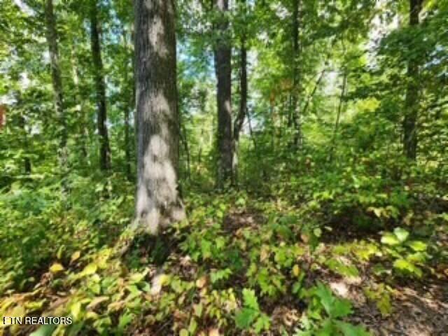 Lot 73 Tomahawk Road Jamestown, TN 38556 - Photo 21 of 33 Photo 10