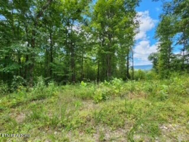 Lot 73 Tomahawk Road Jamestown, TN 38556 - Photo 24 of 33 Photo 13