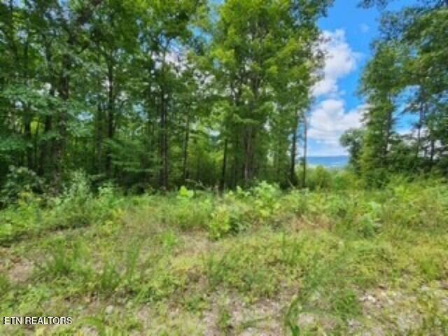 Lot 73 Tomahawk Road Jamestown, TN 38556 - Photo 25 of 33 Photo 14