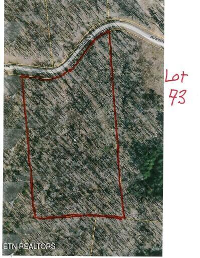 Lot 73 Tomahawk Road Jamestown, TN 38556 - Photo 30 of 33 AERIAL VIEW- Lot 73