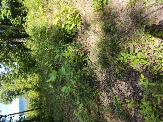 Lot 73 Tomahawk Road Jamestown, TN 38556 - Photo 5 of 33 20250826_105750_001