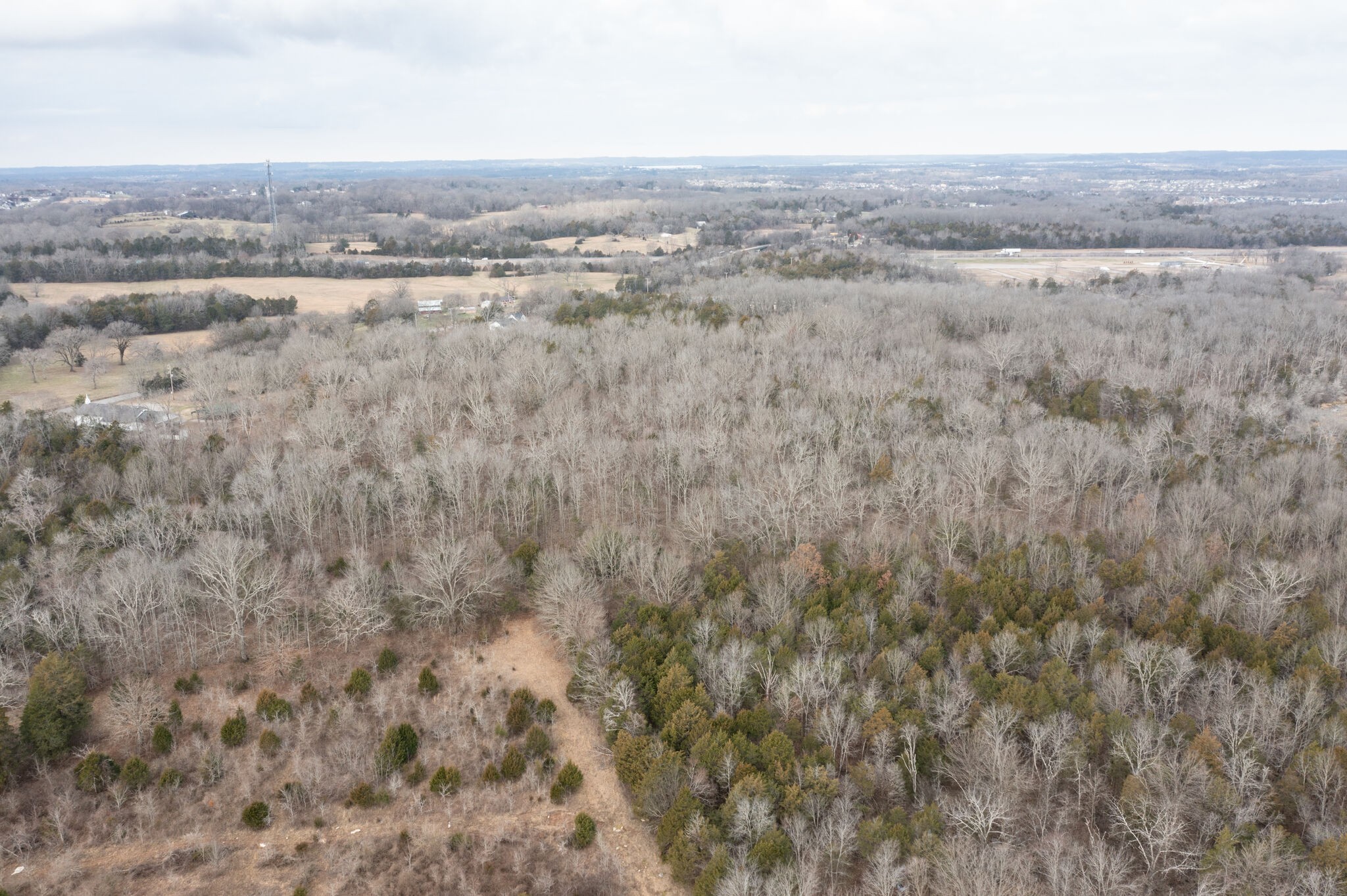 0 Kedron Road Spring Hill, TN 37174 - Photo 11 of 20 an aerial view of forest