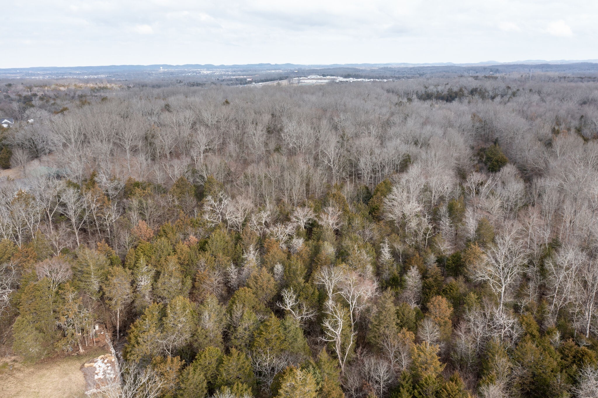 0 Kedron Road Spring Hill, TN 37174 - Photo 12 of 20 a view of a dry field