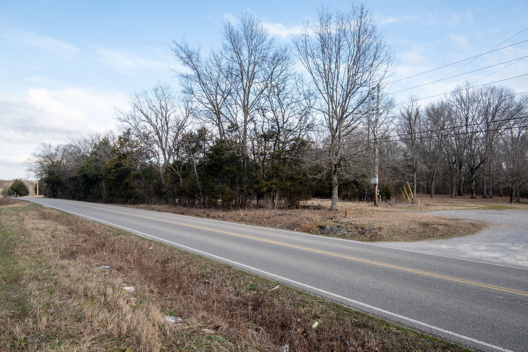 0 Kedron Road Spring Hill, TN 37174 - Photo 13 of 20 a view of a yard with large trees