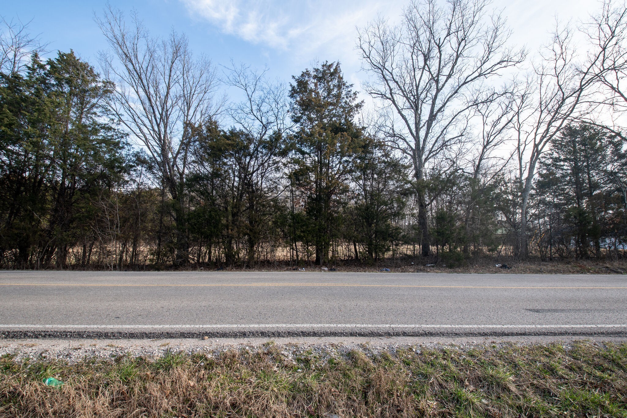 0 Kedron Road Spring Hill, TN 37174 - Photo 14 of 20 a front view of a house with a yard and trees