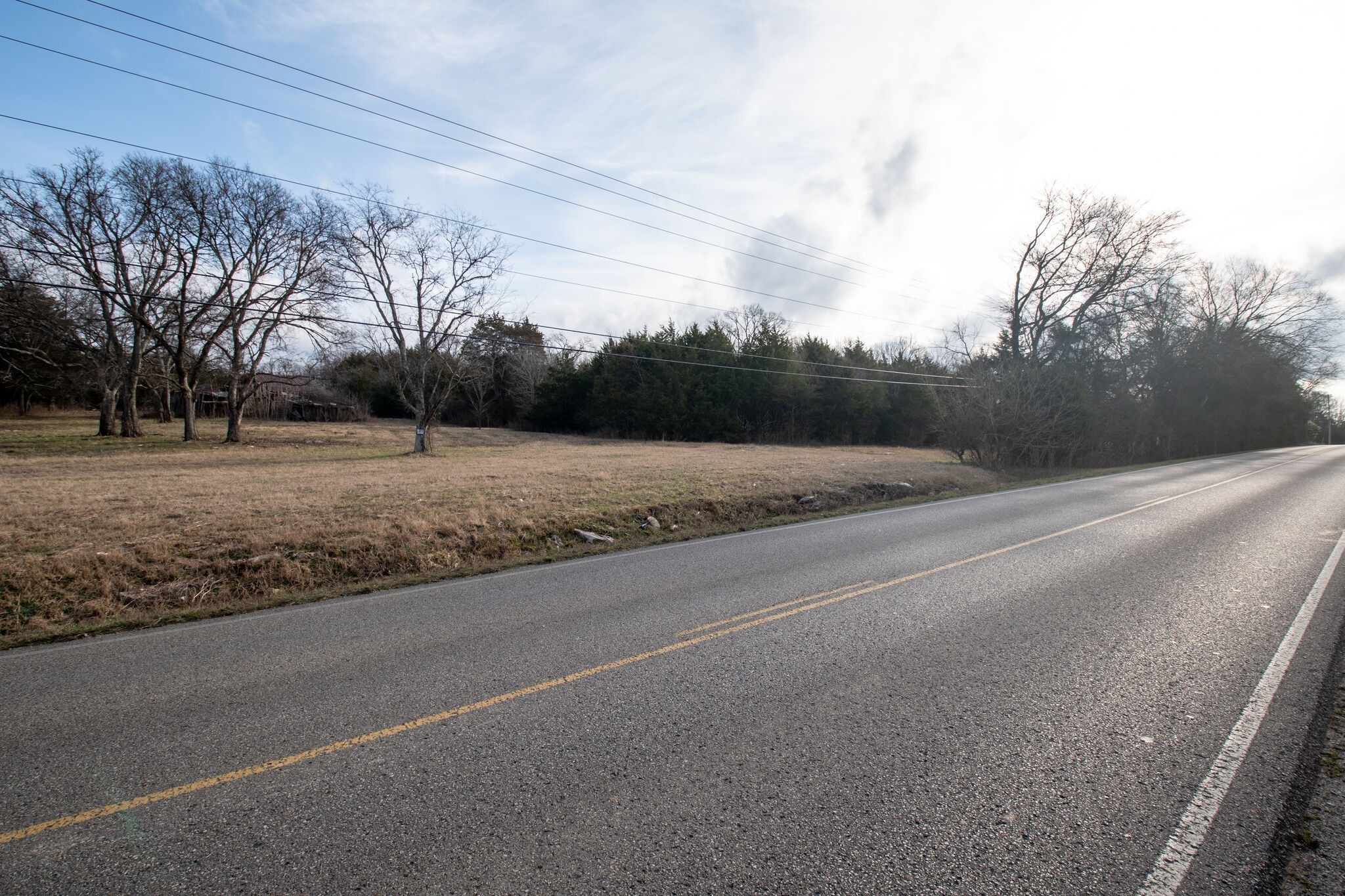 0 Kedron Road Spring Hill, TN 37174 - Photo 15 of 20 a view of a yard with large trees