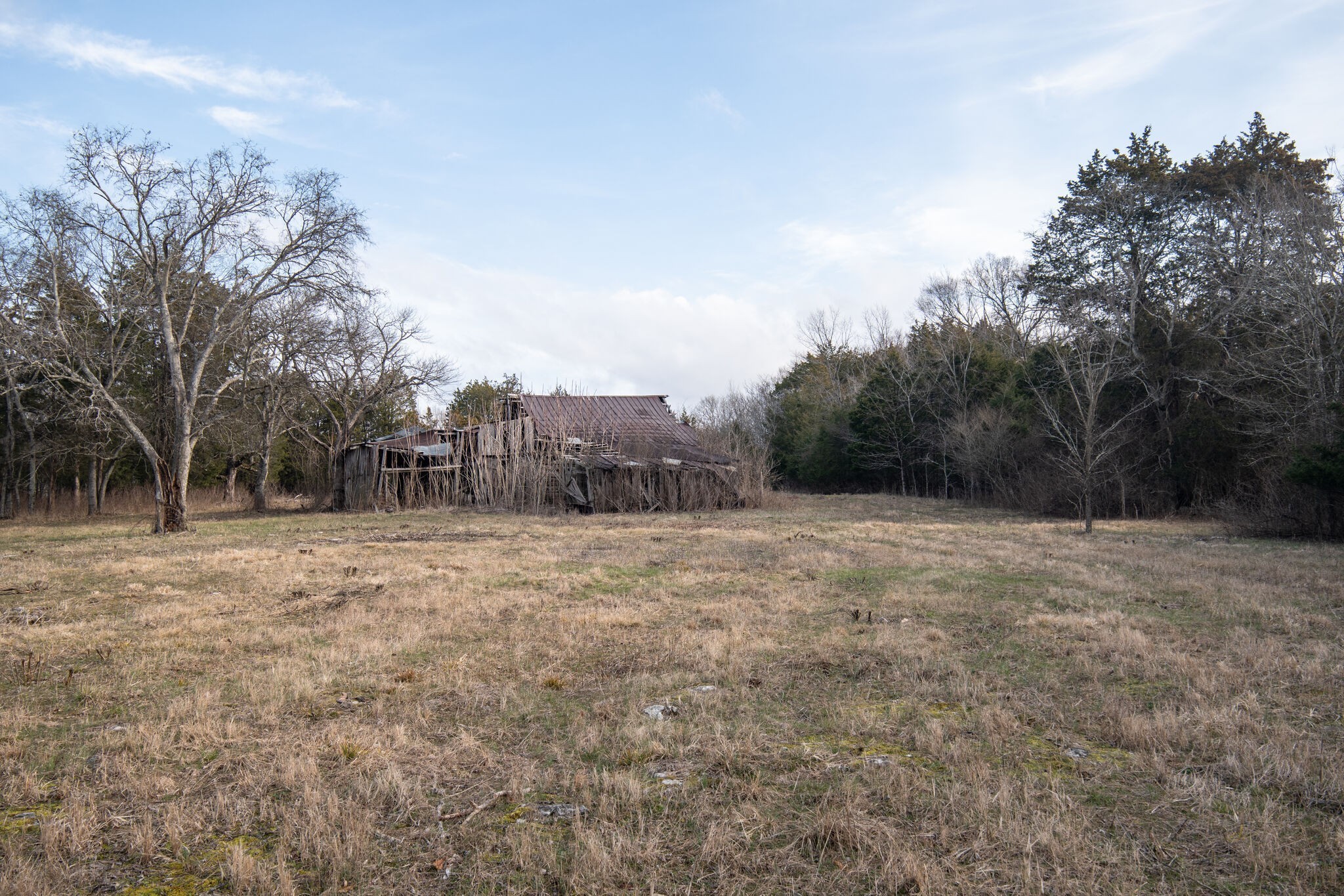 0 Kedron Road Spring Hill, TN 37174 - Photo 17 of 20 a view of an outdoor space and a yard