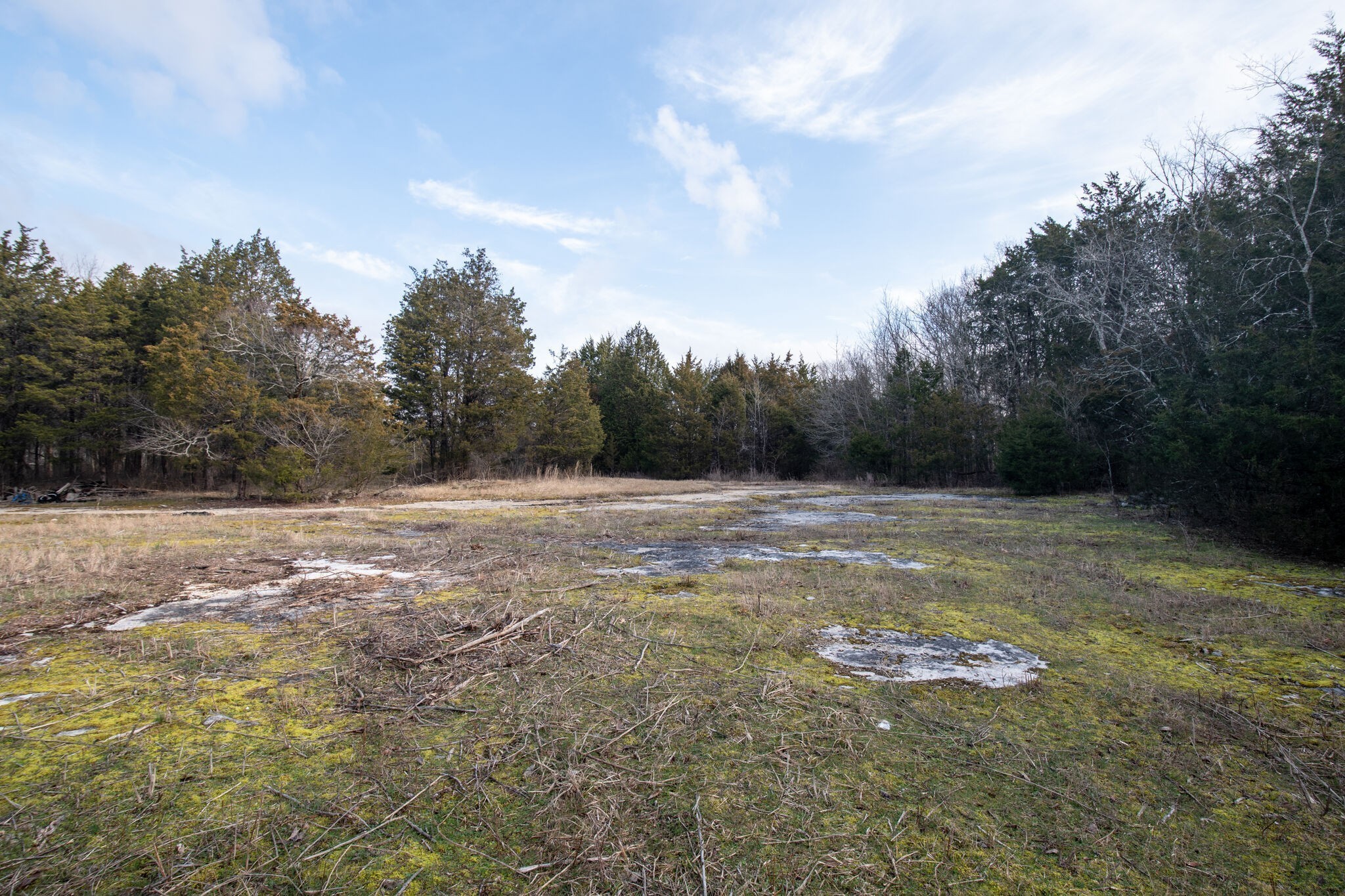 0 Kedron Road Spring Hill, TN 37174 - Photo 18 of 20 a view of a backyard with large trees