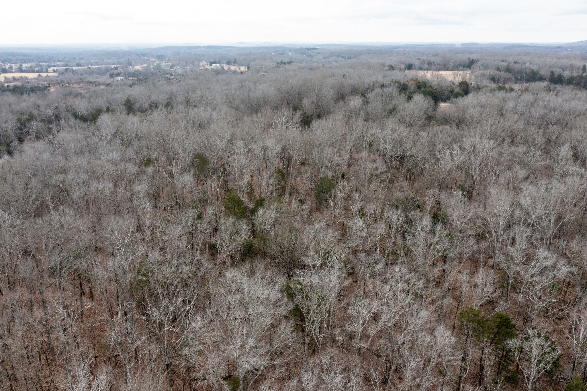 0 Kedron Road Spring Hill, TN 37174 - Photo 10 of 20 a view of a dry yard