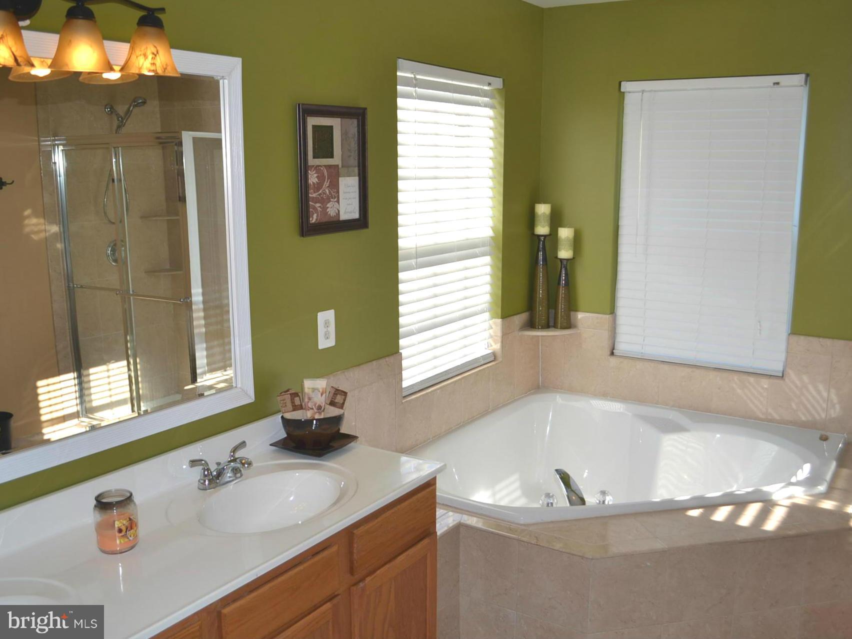 43 Ripley Road Stafford, VA 22556 - Photo 14 of 26 Bath (Master)
