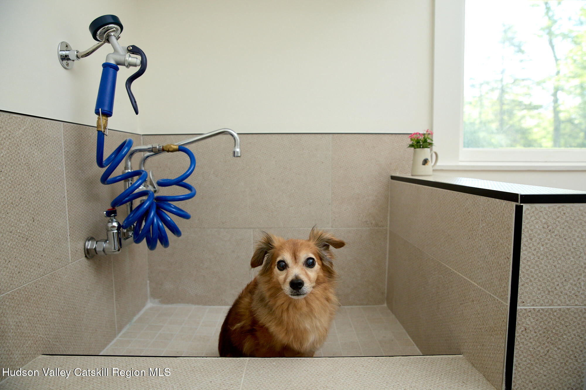 16 High Pasture Road New Paltz, NY 12561 - Photo 21 of 40 16HP23