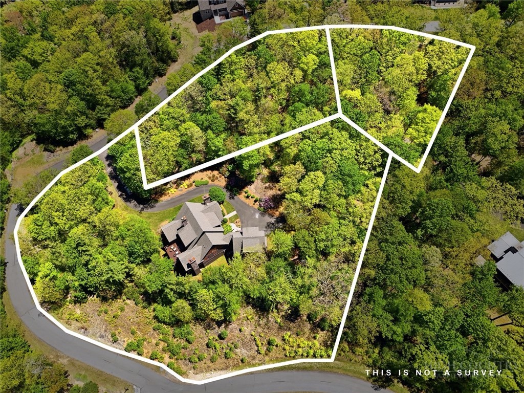 186 Sunset Ridge Drive Boone, NC 28607 - Photo 14 of 50