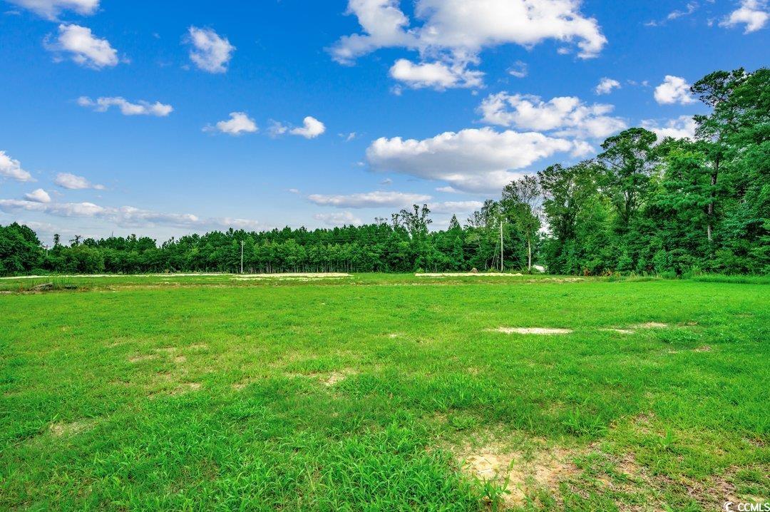 4911 Joyner Swamp Road Galivants Ferry, SC 29544 - Photo 28 of 28 View of yard