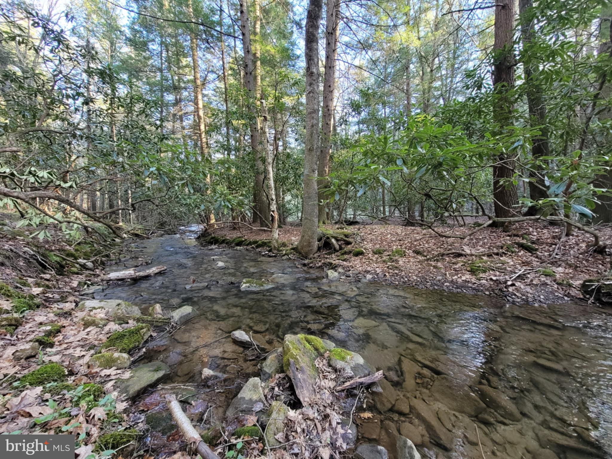 0 Back Hill Road Pottersdale, PA 16871 - Photo 4 of 12 a view of a forest with trees