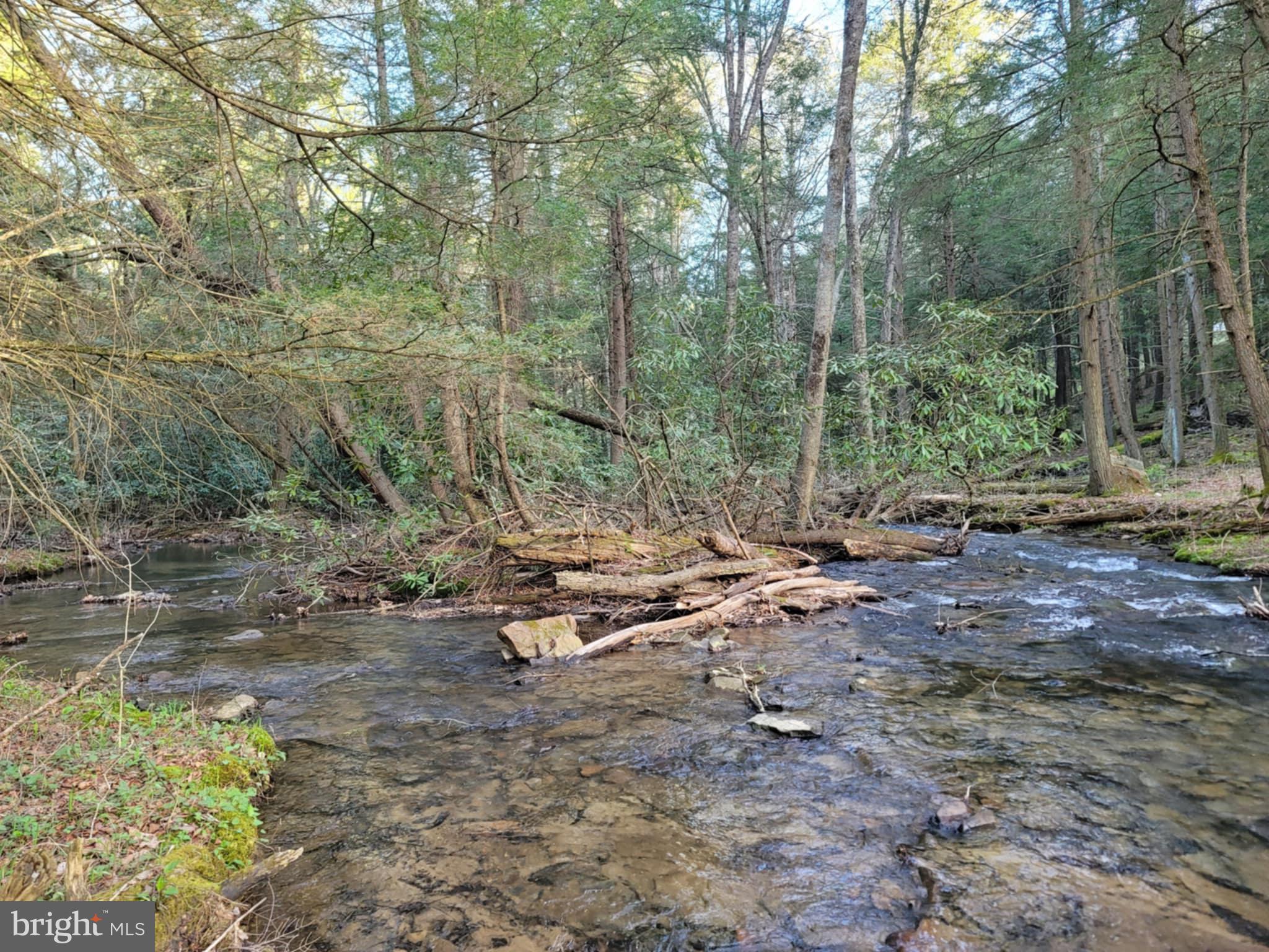 0 Back Hill Road Pottersdale, PA 16871 - Photo 6 of 12 a view of backyard with green space and trees
