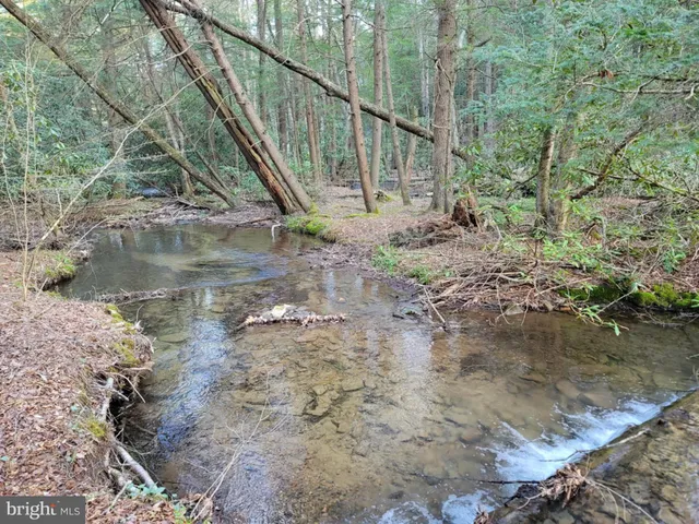 a view of outdoor space and deck