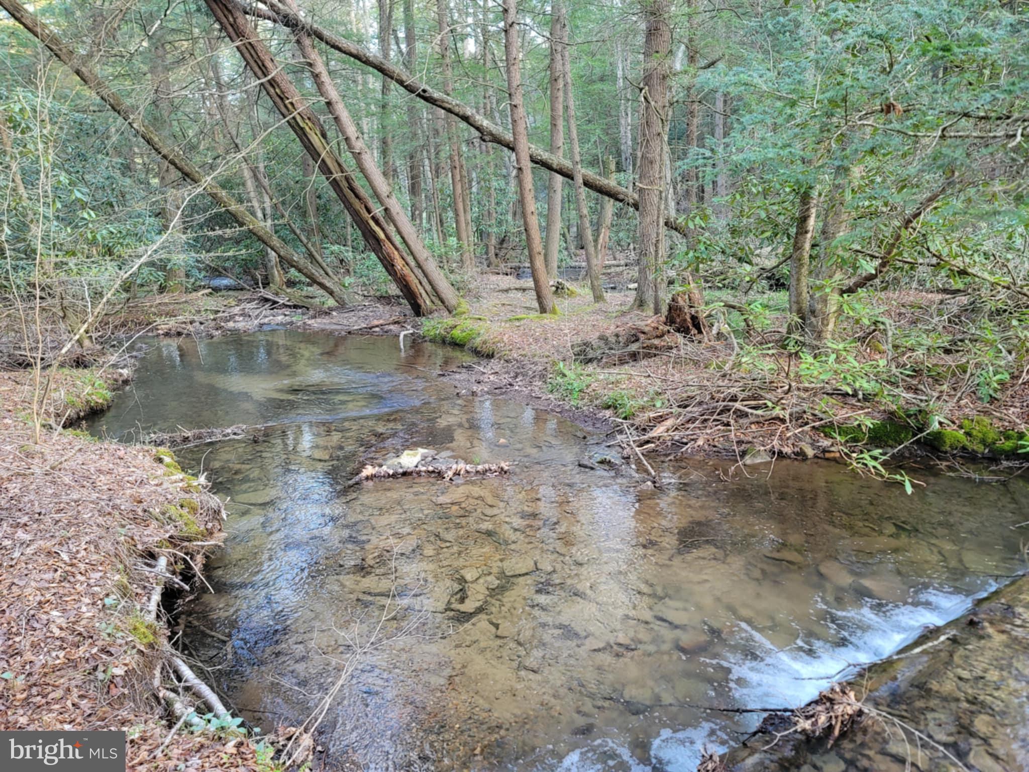 0 Back Hill Road Pottersdale, PA 16871 - Photo 7 of 12 a view of outdoor space and deck