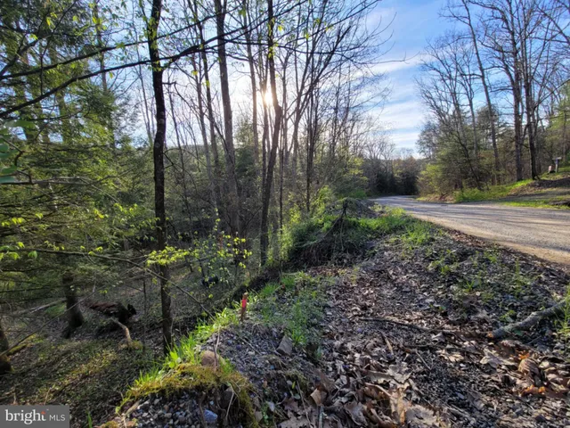 a view of backyard with green space