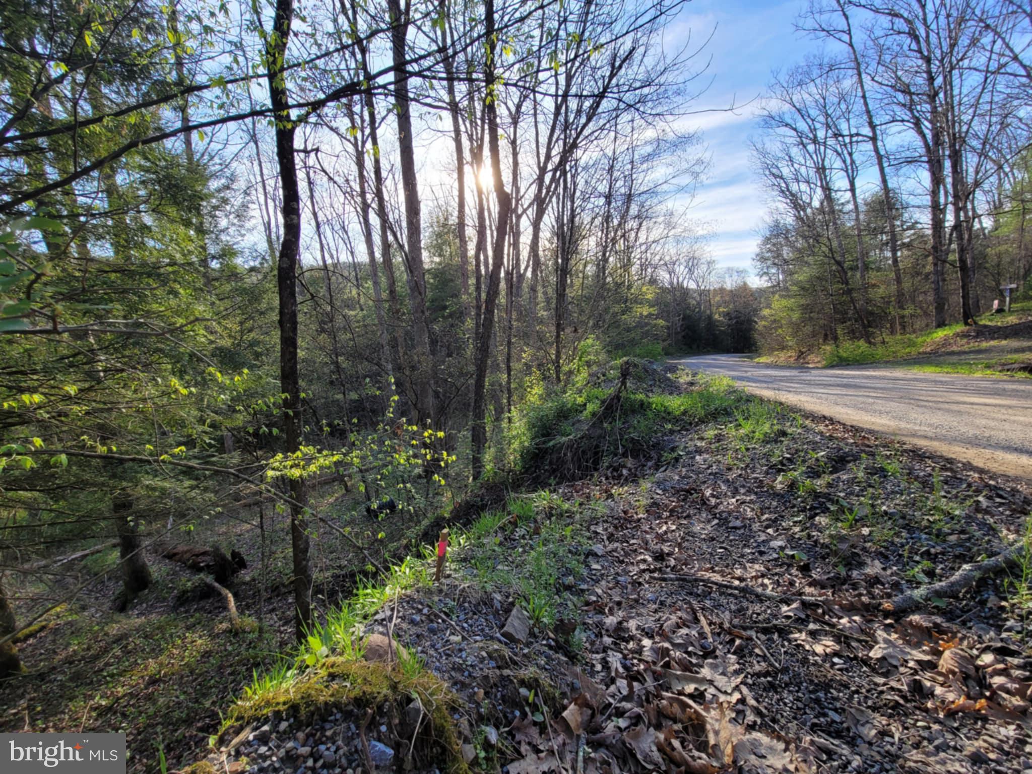 0 Back Hill Road Pottersdale, PA 16871 - Photo 10 of 12 a view of backyard with green space