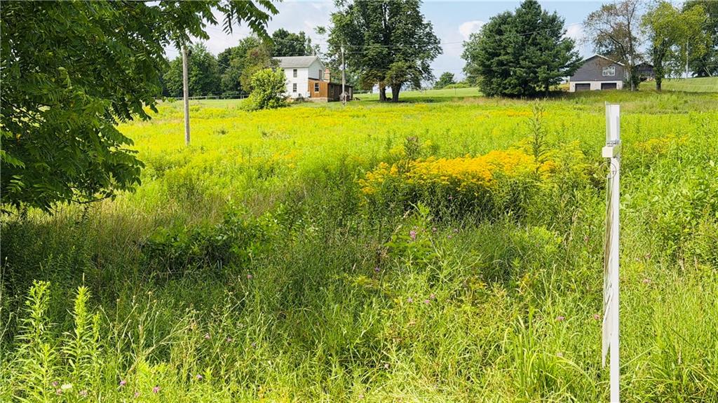 173 Nursery Road Renfrew, PA 16053 - Photo 17 of 47 On Rader School Road looking up at house.