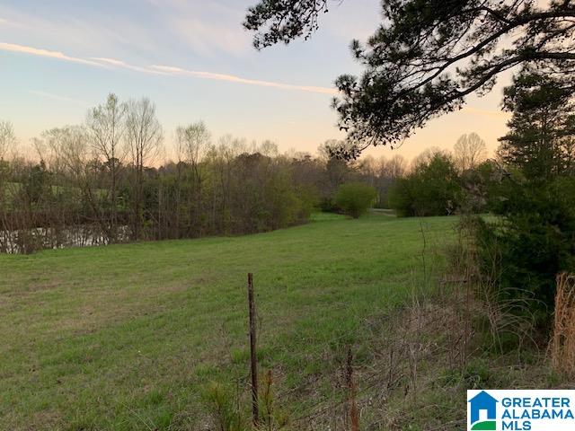 29 Highway Oneonta Al, Unit 70 Oneonta, AL 35121 - Photo 7 of 10