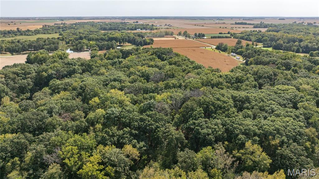 1468 F S Road Medora, IL 62063 - Photo 11 of 61 Gallery Image 11