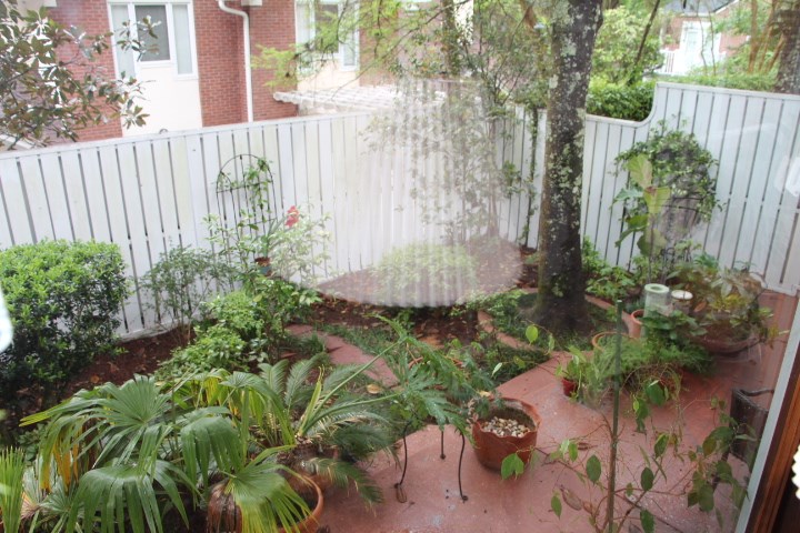 842 Santa Rosa Drive Tallahassee, FL 32301 - Photo 12 of 22