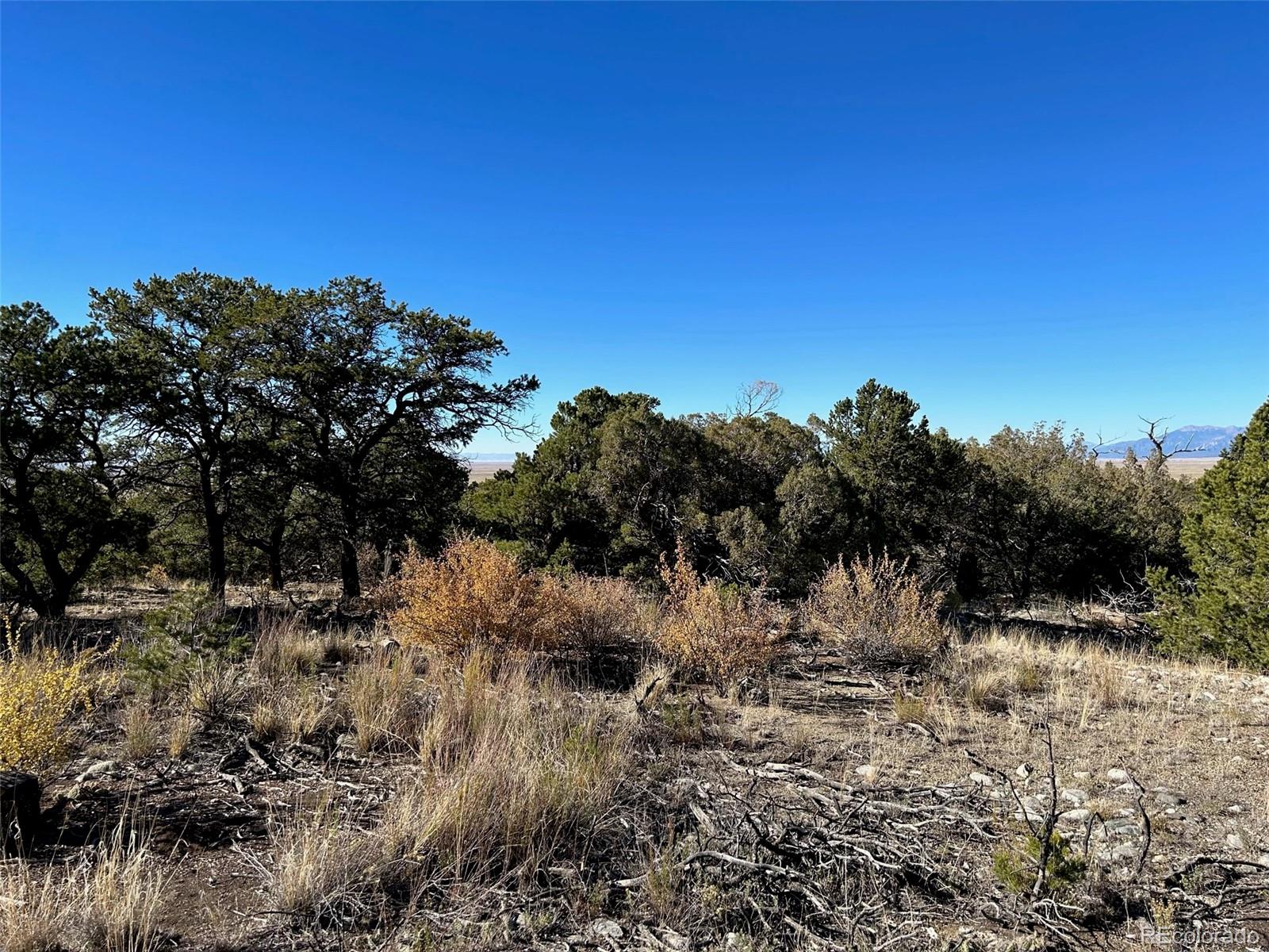 62 Mill Run Road Mosca, CO 81146 - Photo 4 of 8