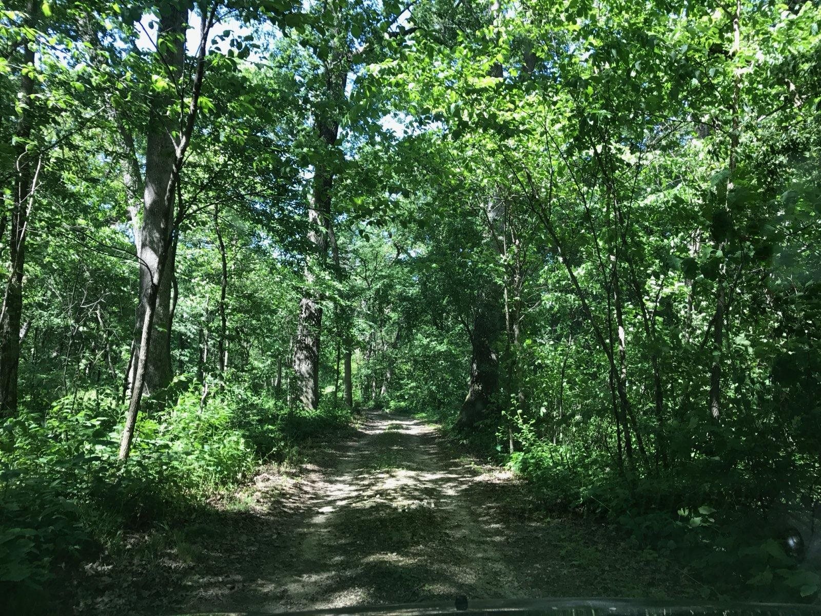 11660 Farm School Road Durand, IL 61024 - Photo 43 of 47 a view of a lush green forest