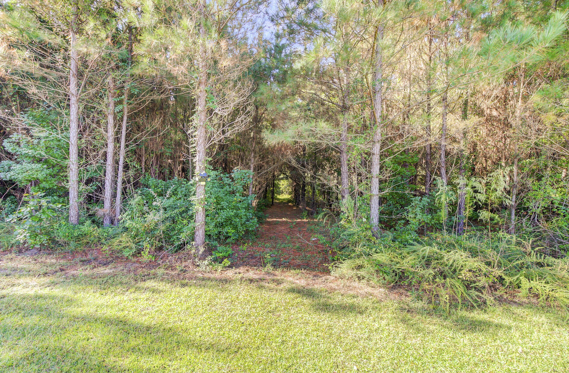 442 Rhode Drive Cottageville, SC 29435 - Photo 27 of 38 76_76_mls