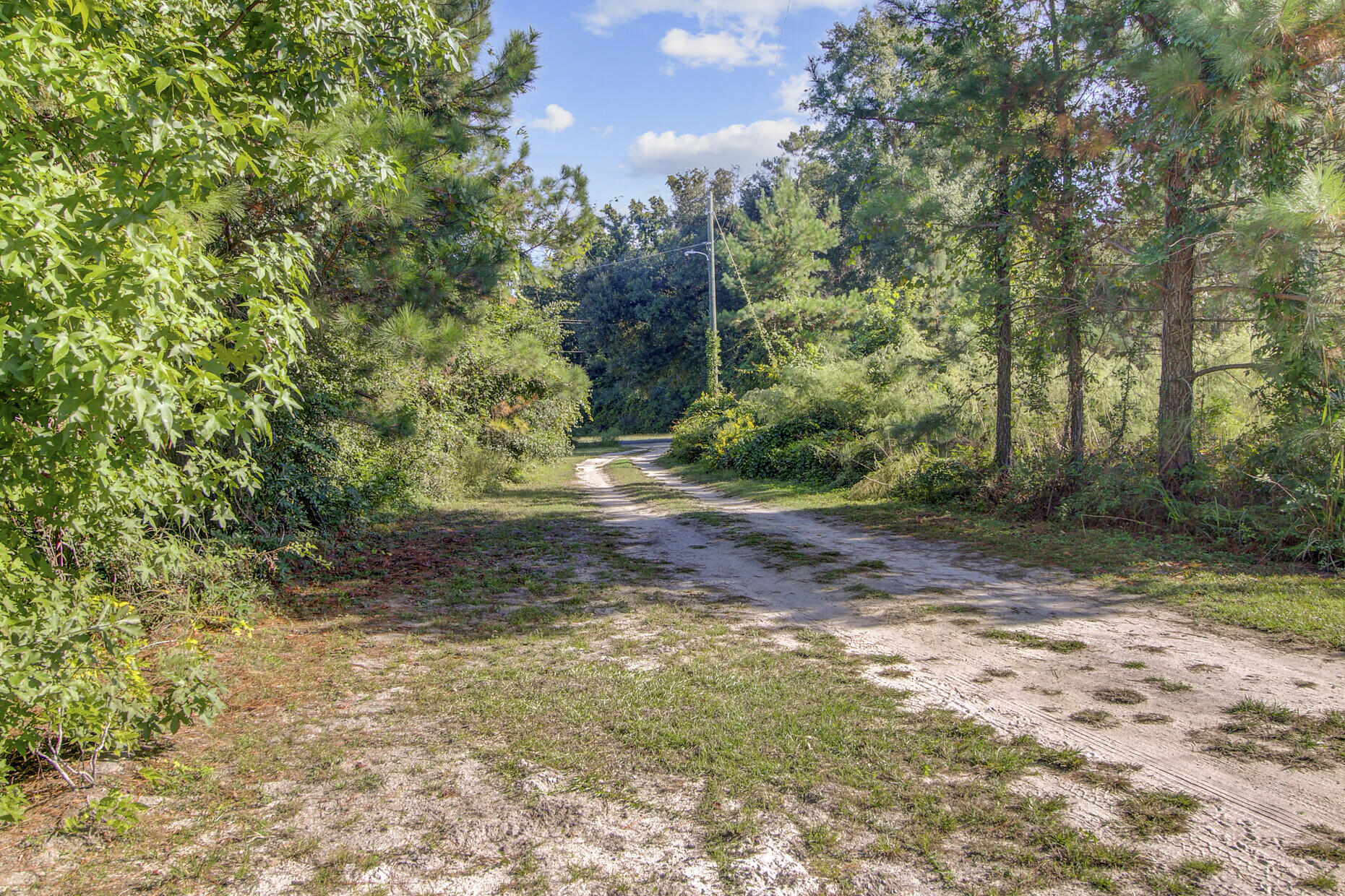 442 Rhode Drive Cottageville, SC 29435 - Photo 38 of 38 25_25_mls