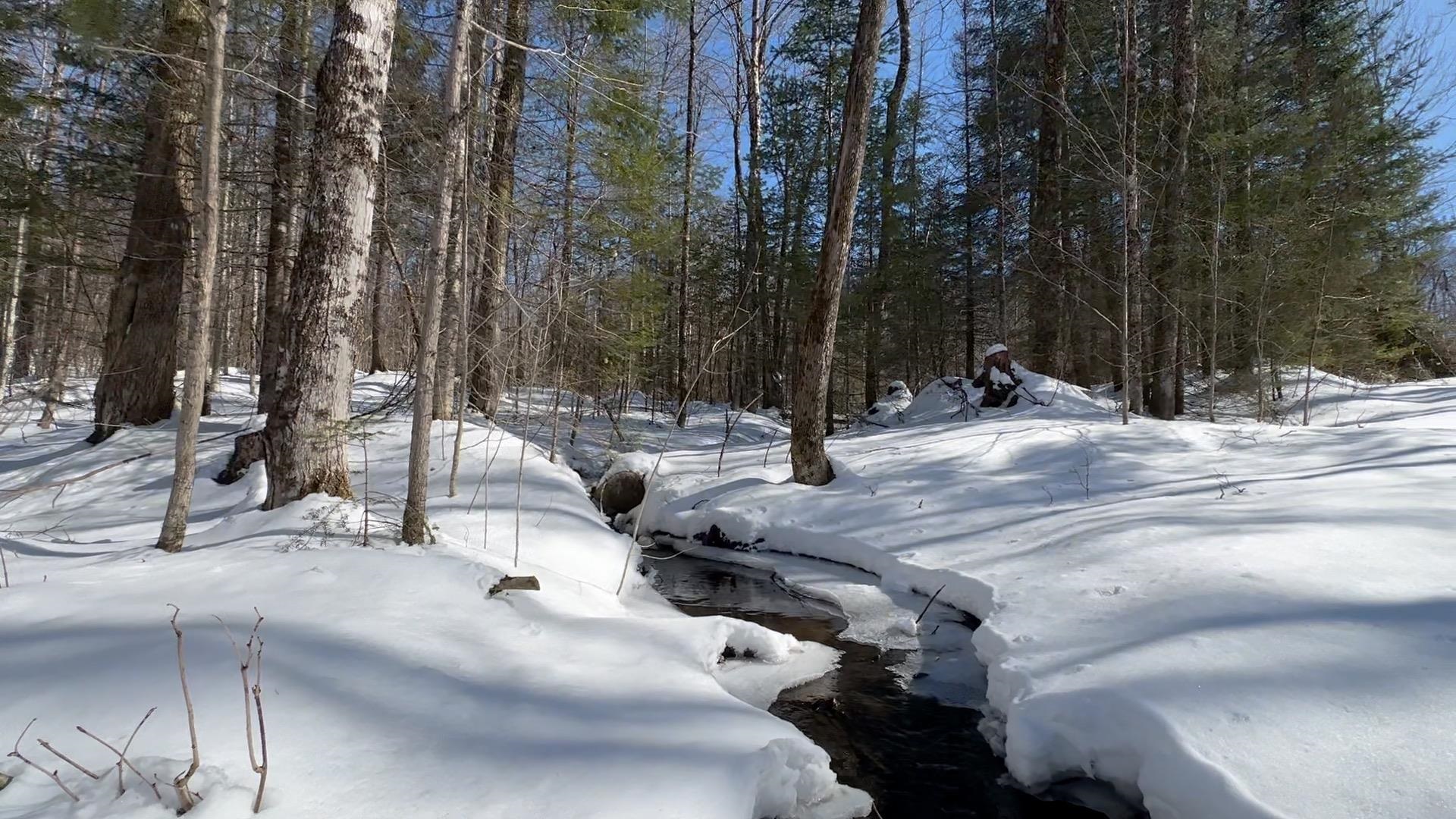 0 Cabot Road East Calais, VT 05650 - Photo 8 of 15 Gallery Image 8