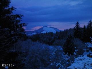 316 Old River Road Northeast Siletz, OR 97380 - Photo 37 of 37 001-2(rev 0)