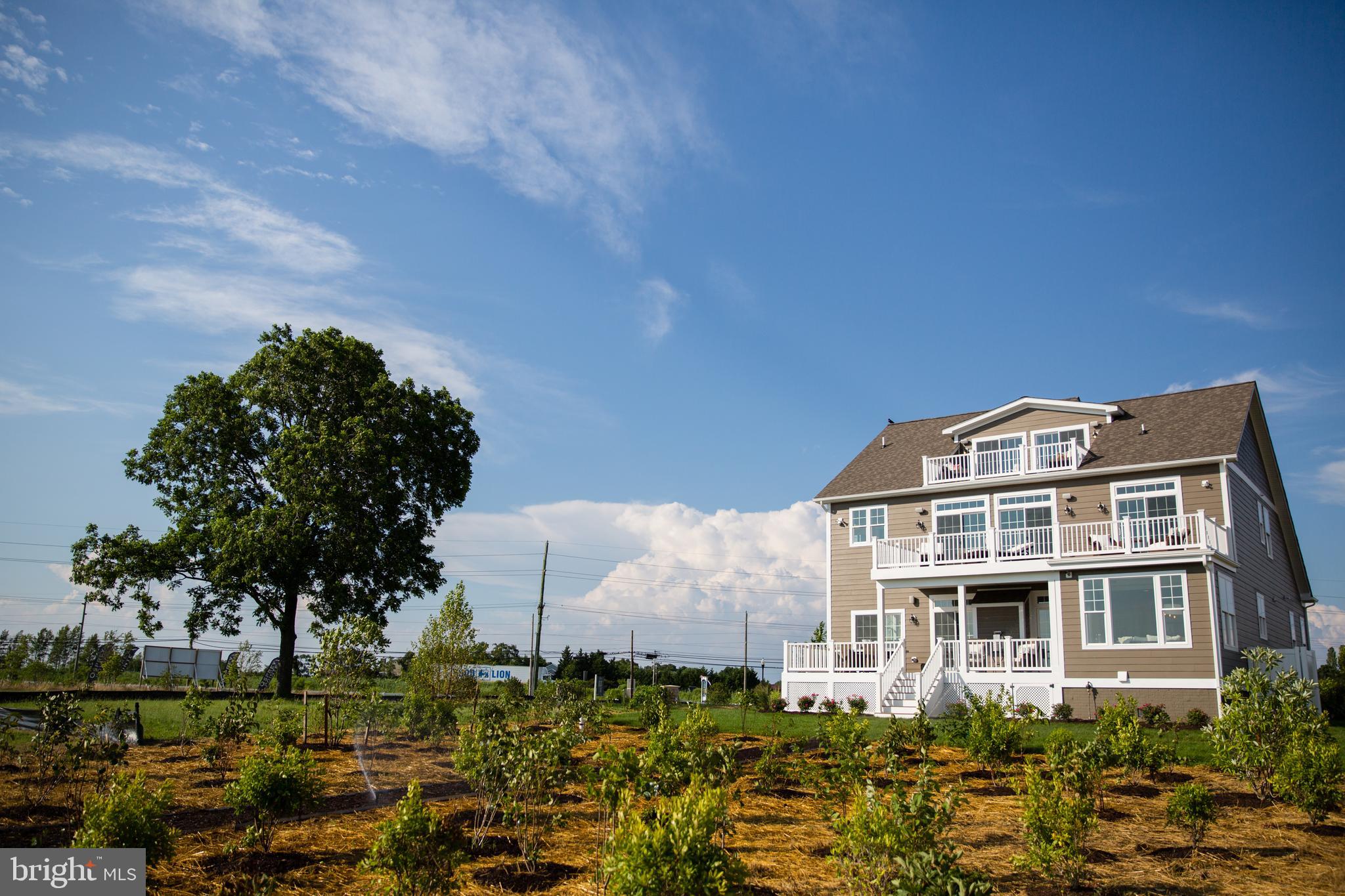 6370 Genoa Road Tracys Landing, MD 20779 - Photo 11 of 62