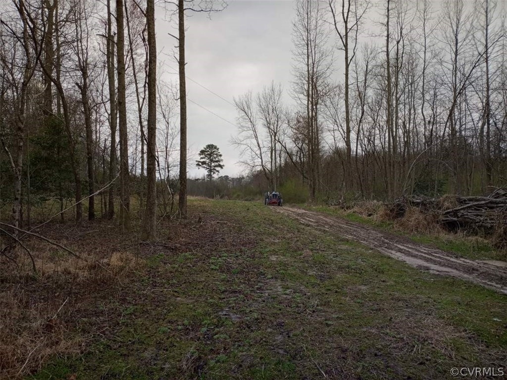 0 Webb Road Disputanta, VA 23842 - Photo 2 of 13 Gallery Image 2